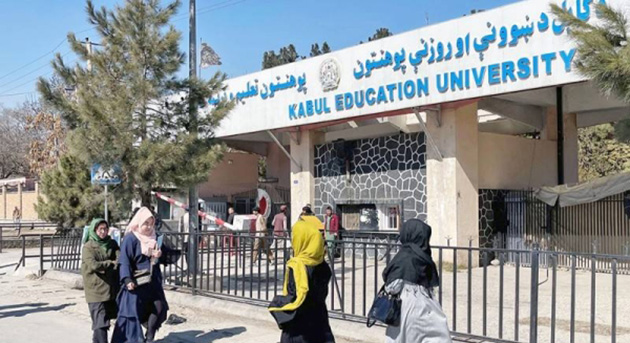 afghan.jpg afghan.jpg