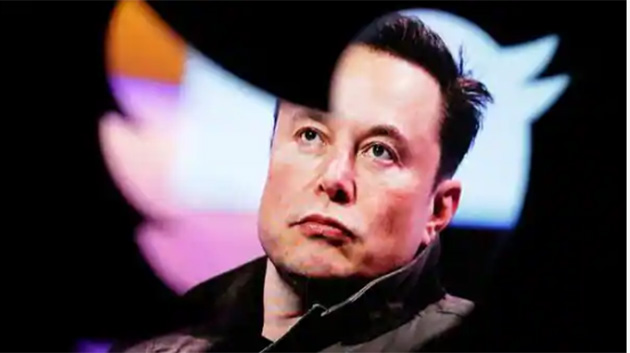 musk.jpg musk.jpg