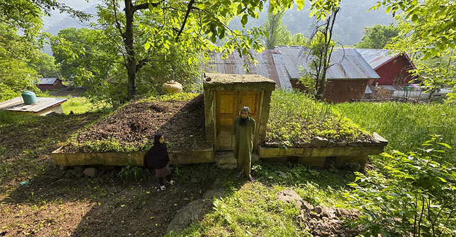 shelling.jpg shelling.jpg