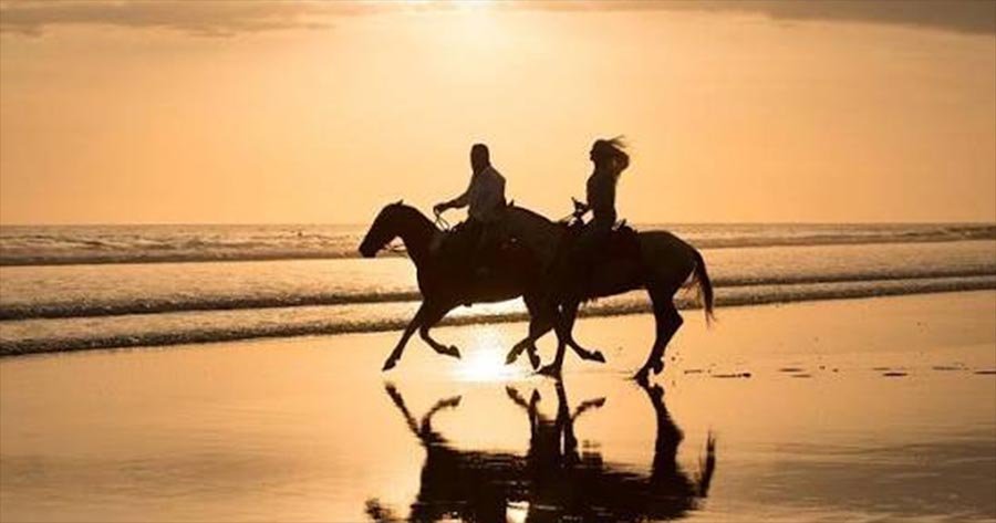 Mangaluru beaches get a new attraction as horse riding takes to the shore